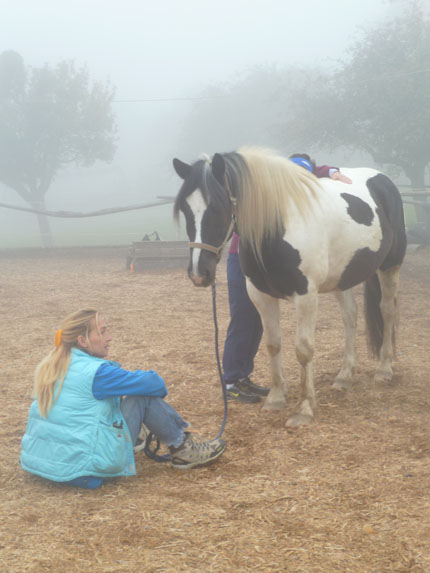 Nebel