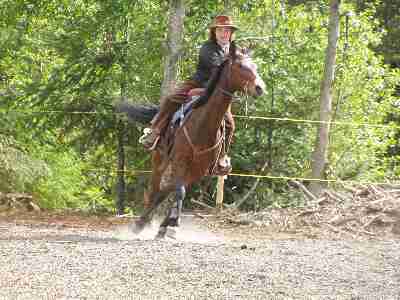 Reiten